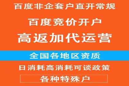 竞价SEM托管解决方案：企业广告投放新思路
